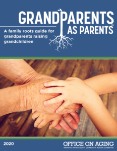 Grandparents as parents guidebook cover. Blue with picture of young and old hands clasping each other